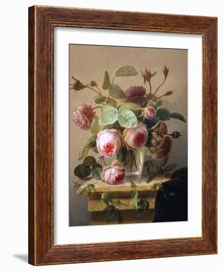 Still Life of Pink Roses in a Glass Vase-Hans Hermann-Framed Giclee Print