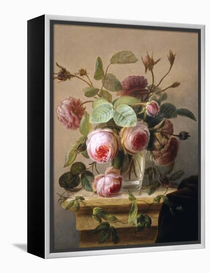 Still Life of Pink Roses in a Glass Vase-Hans Hermann-Framed Premier Image Canvas