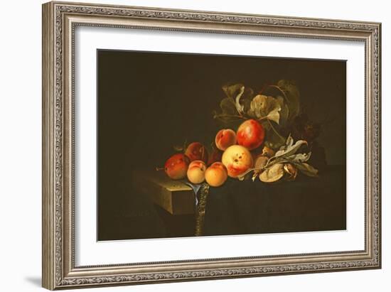 Still Life of Plums, Peaches, Almonds and Grapes on a Draped Ledge, 1650-Willem van Aelst-Framed Giclee Print