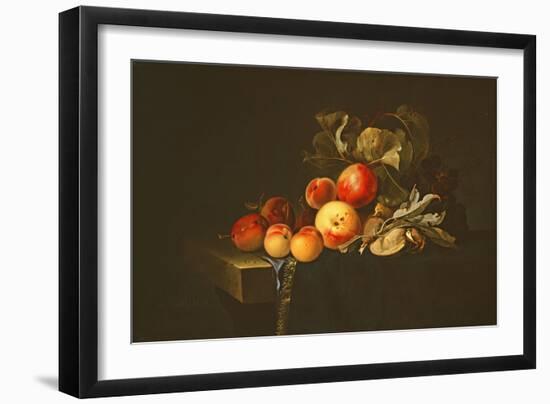 Still Life of Plums, Peaches, Almonds and Grapes on a Draped Ledge, 1650-Willem van Aelst-Framed Giclee Print