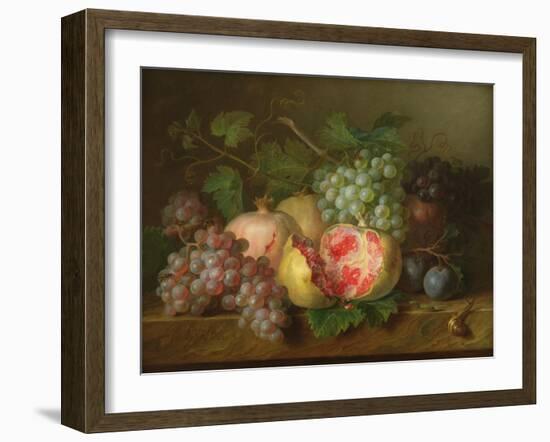 Still Life of Pomegranates, Grapes and Plums on a Marble Ledge (Panel)-Cornelis van Spaendonck-Framed Giclee Print