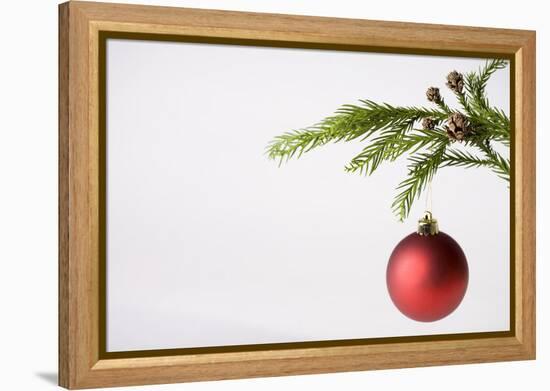 Still Life of Red Bauble Hanging on Christmas Tree-null-Framed Premier Image Canvas