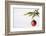 Still Life of Red Bauble Hanging on Christmas Tree-null-Framed Photographic Print