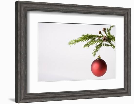 Still Life of Red Bauble Hanging on Christmas Tree-null-Framed Photographic Print