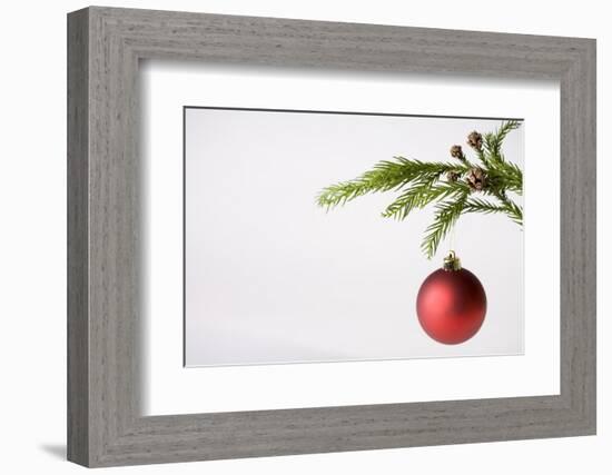 Still Life of Red Bauble Hanging on Christmas Tree-null-Framed Photographic Print