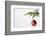 Still Life of Red Bauble Hanging on Christmas Tree-null-Framed Photographic Print