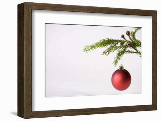 Still Life of Red Bauble Hanging on Christmas Tree--Framed Photographic Print