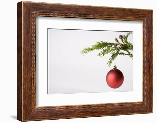 Still Life of Red Bauble Hanging on Christmas Tree-null-Framed Photographic Print