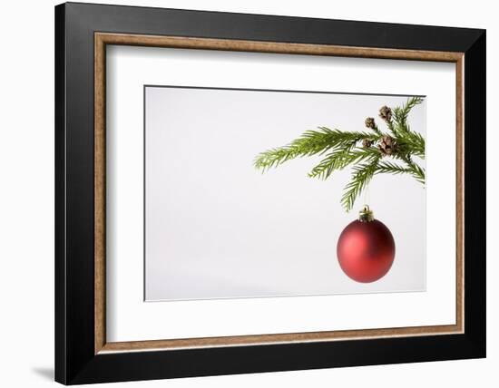 Still Life of Red Bauble Hanging on Christmas Tree--Framed Photographic Print