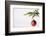 Still Life of Red Bauble Hanging on Christmas Tree-null-Framed Photographic Print