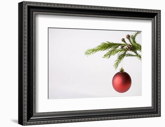 Still Life of Red Bauble Hanging on Christmas Tree--Framed Photographic Print