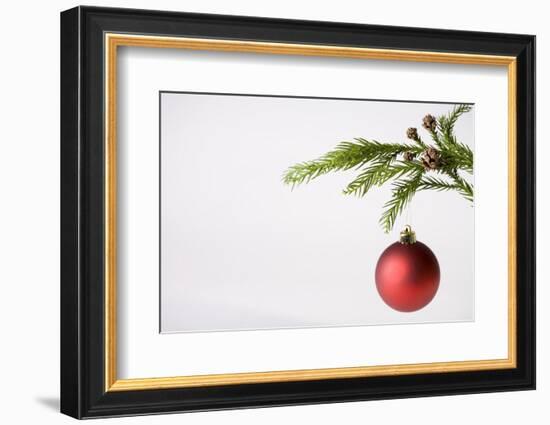 Still Life of Red Bauble Hanging on Christmas Tree--Framed Photographic Print