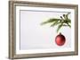 Still Life of Red Bauble Hanging on Christmas Tree-null-Framed Photographic Print