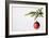 Still Life of Red Bauble Hanging on Christmas Tree-null-Framed Photographic Print