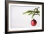 Still Life of Red Bauble Hanging on Christmas Tree-null-Framed Photographic Print