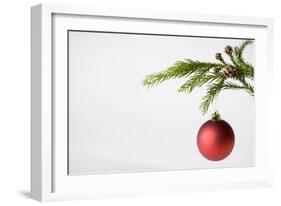 Still Life of Red Bauble Hanging on Christmas Tree-null-Framed Photographic Print