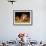 Still Life of Sheep's Ribs and Head (The Butcher's Counter)-Francisco de Goya-Framed Giclee Print displayed on a wall