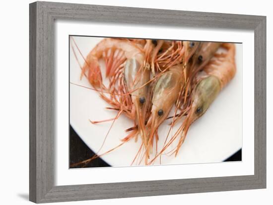 Still Life Of Sustainably Harvested, Trap Caught, Gulf Prawns-Justin Bailie-Framed Photographic Print