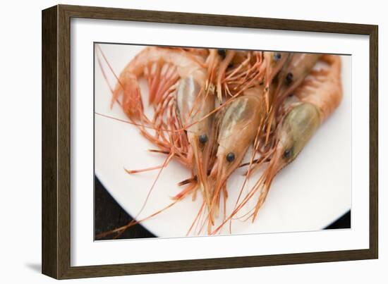 Still Life Of Sustainably Harvested, Trap Caught, Gulf Prawns-Justin Bailie-Framed Photographic Print