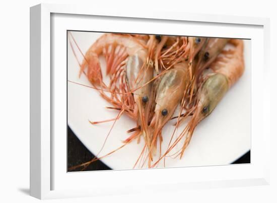 Still Life Of Sustainably Harvested, Trap Caught, Gulf Prawns-Justin Bailie-Framed Photographic Print