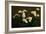 Still Life of White Roses, 1870 (Oil on Canvas)-Ignace Henri Jean Fantin-Latour-Framed Giclee Print