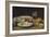 Still Life (Oil on Canvas)-Armand-Desire Gautier-Framed Giclee Print