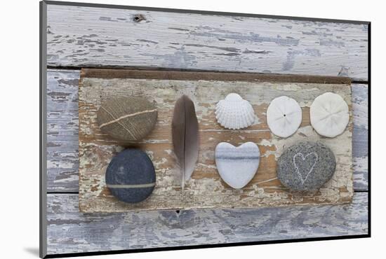 Still Life, Pebble Stones, Heart, Seashell, Feather-Andrea Haase-Mounted Photographic Print