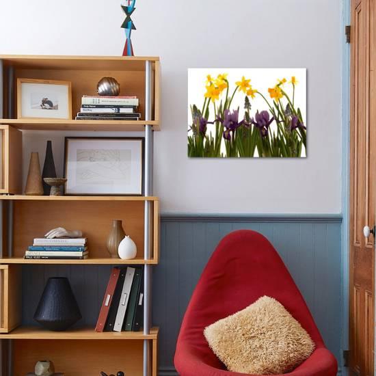 Still Life Photograph A Collection Of Spring Flowers In One Frame Photographic Print Abdul Kadir Audah Art Com Still Life Photograph A Collection Of Spring Flowers In One Frame Photographic Print Abdul Kadir Audah Art Com