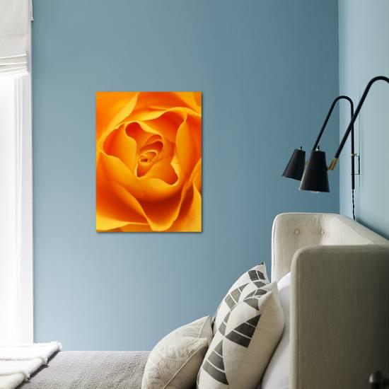 Still Life Photograph Close Up Of Orange Rose Photographic Print Abdul Kadir Audah Art Com Still Life Photograph Close Up Of Orange Rose Photographic Print Abdul Kadir Audah Art Com