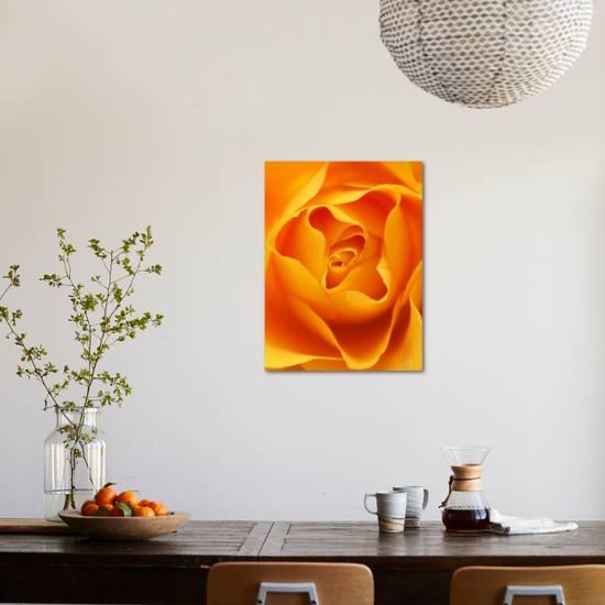 Still Life Photograph Close Up Of Orange Rose Photographic Print Abdul Kadir Audah Art Com Still Life Photograph Close Up Of Orange Rose Photographic Print Abdul Kadir Audah Art Com