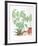 Still Life, Plants-Vasilios Janopoulos-Framed Collectable Print