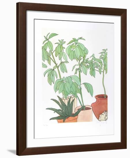 Still Life, Plants-Vasilios Janopoulos-Framed Collectable Print