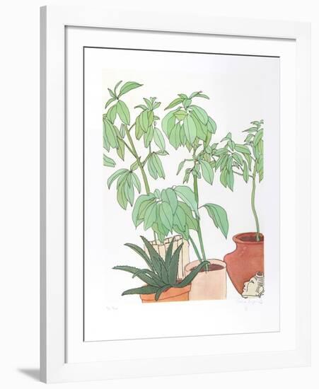 Still Life, Plants-Vasilios Janopoulos-Framed Collectable Print