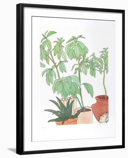 Still Life, Plants-Vasilios Janopoulos-Framed Collectable Print