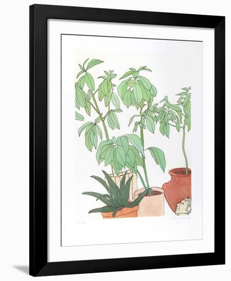 Still Life, Plants-Vasilios Janopoulos-Framed Collectable Print