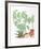 Still Life, Plants-Vasilios Janopoulos-Framed Collectable Print