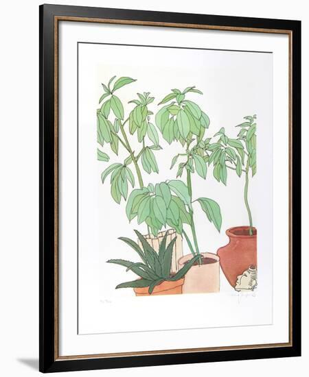 Still Life, Plants-Vasilios Janopoulos-Framed Collectable Print