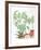 Still Life, Plants-Vasilios Janopoulos-Framed Collectable Print