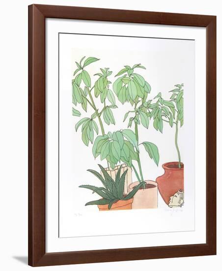 Still Life, Plants-Vasilios Janopoulos-Framed Collectable Print