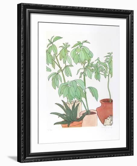 Still Life, Plants-Vasilios Janopoulos-Framed Collectable Print