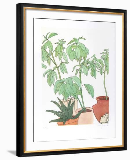 Still Life, Plants-Vasilios Janopoulos-Framed Collectable Print