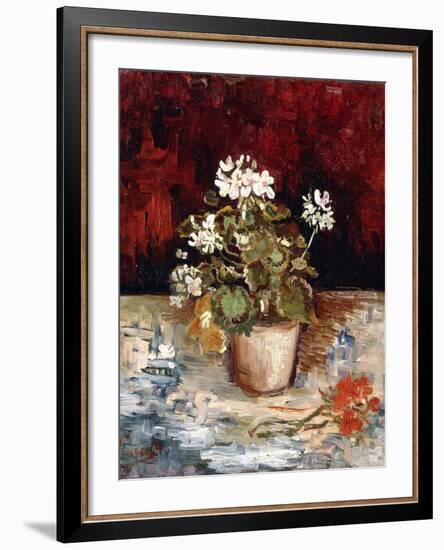 Still-Life Pot of Geraniums, 1886-Vincent van Gogh-Framed Giclee Print