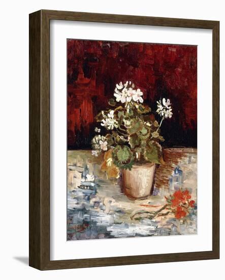 Still-Life Pot of Geraniums, 1886-Vincent van Gogh-Framed Giclee Print