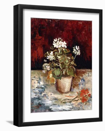 Still-Life Pot of Geraniums, 1886-Vincent van Gogh-Framed Giclee Print