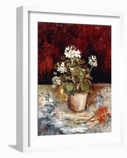 Still-Life Pot of Geraniums, 1886-Vincent van Gogh-Framed Giclee Print