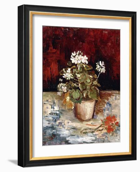 Still-Life Pot of Geraniums, 1886-Vincent van Gogh-Framed Giclee Print