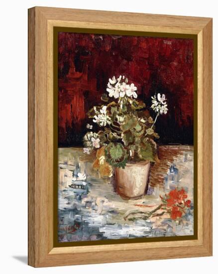 Still-Life Pot of Geraniums, 1886-Vincent van Gogh-Framed Premier Image Canvas