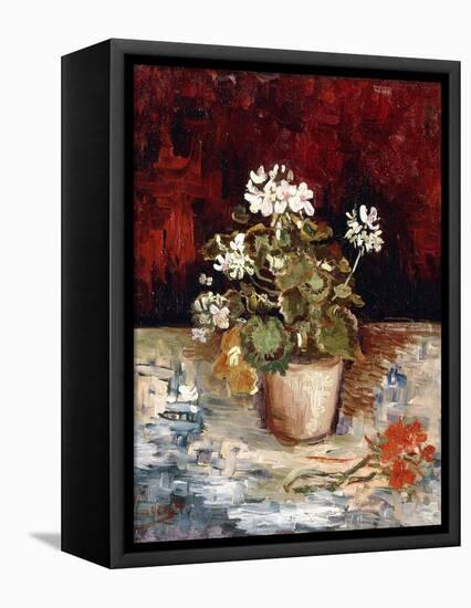 Still-Life Pot of Geraniums, 1886-Vincent van Gogh-Framed Premier Image Canvas