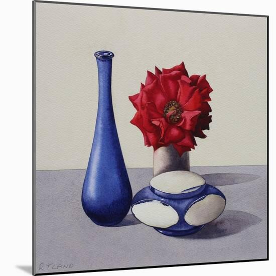 Still Life Red Rose, 2019 (Watercolour on Paper)-Christopher Ryland-Mounted Giclee Print