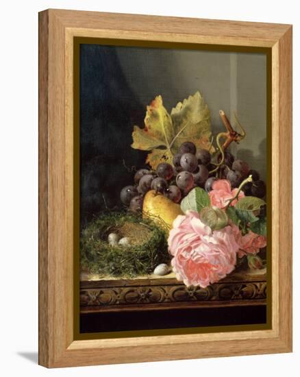 Still Life, Roses, Fruit and Bird's Nest-Edward Ladell-Framed Premier Image Canvas